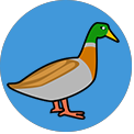 Word Camp Duck answers