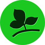 Word Connect Leaf answers