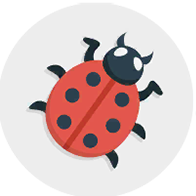 WordBrain 2 Ass Insekten Und Käfer Lösungen